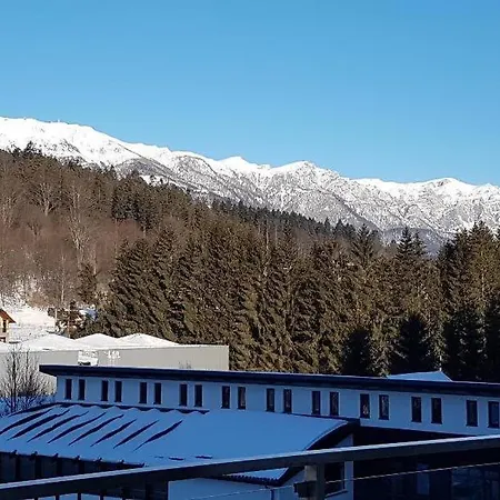 Studio Mountain View Sinaia Exterior photo