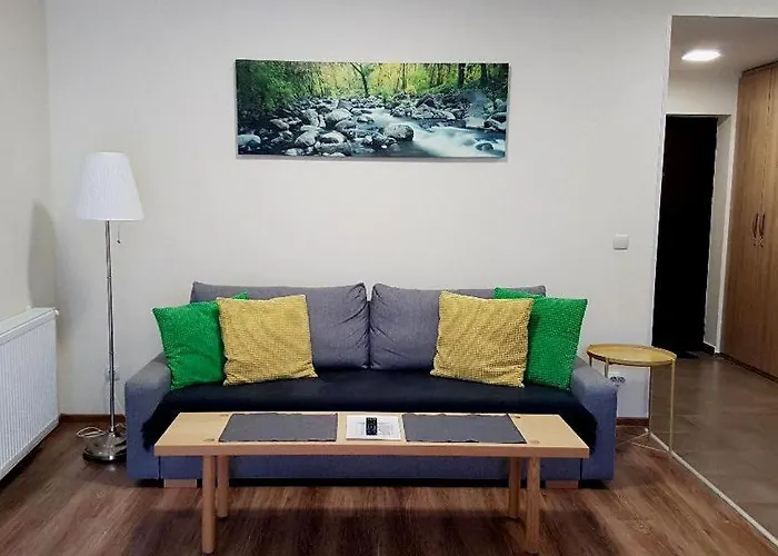 Studio Mountain View