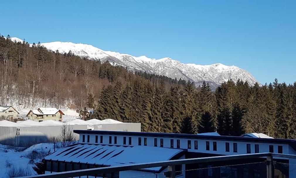 Mountain View Apartament *