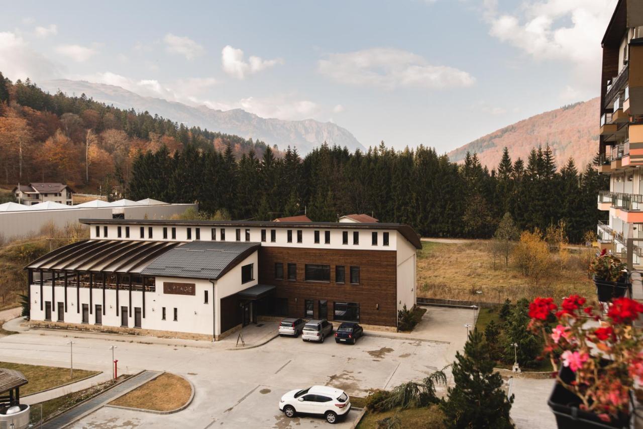 Mountain View Apartment Sinaia