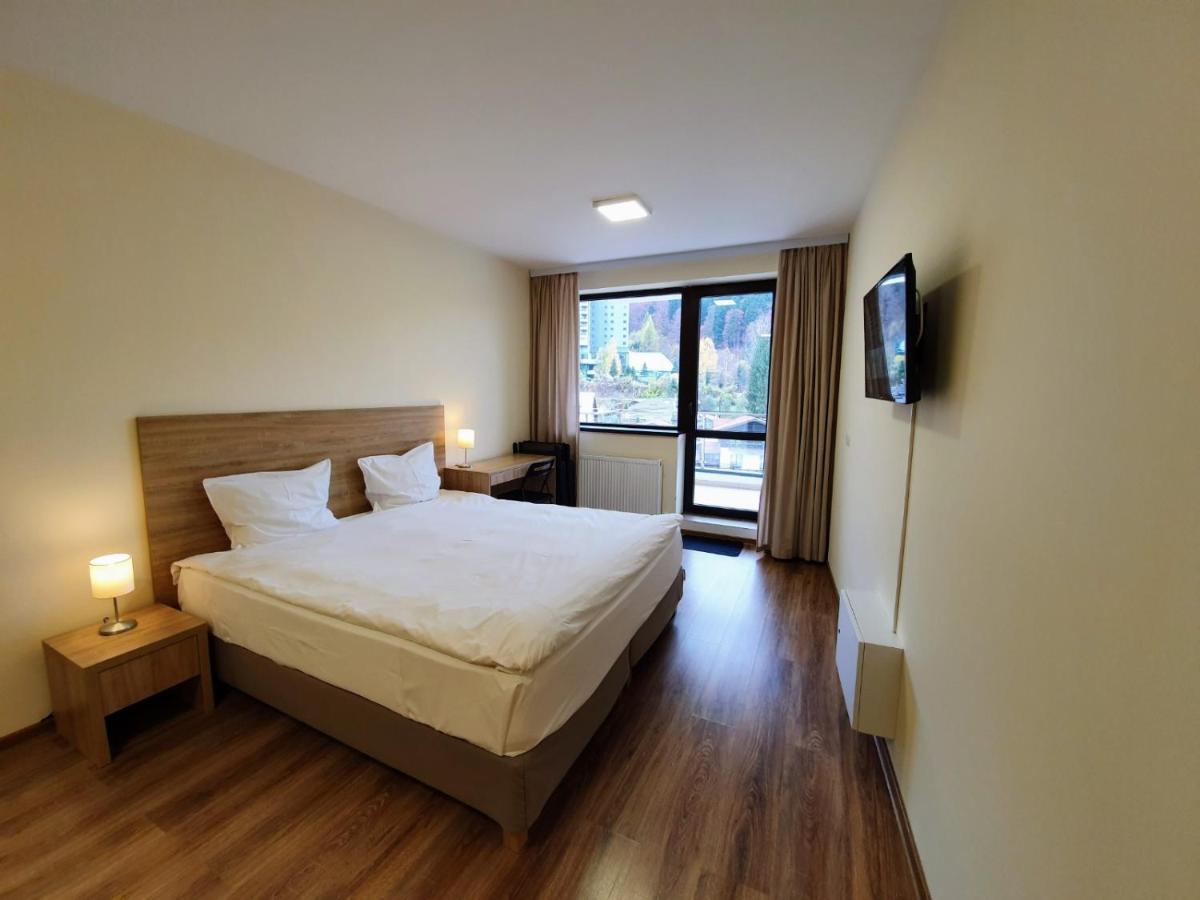 Apartament Mountain View