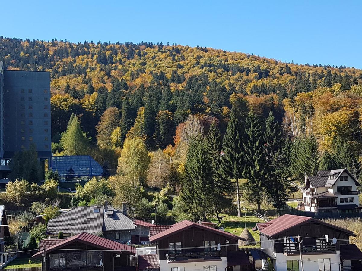 Apartment Mountain View