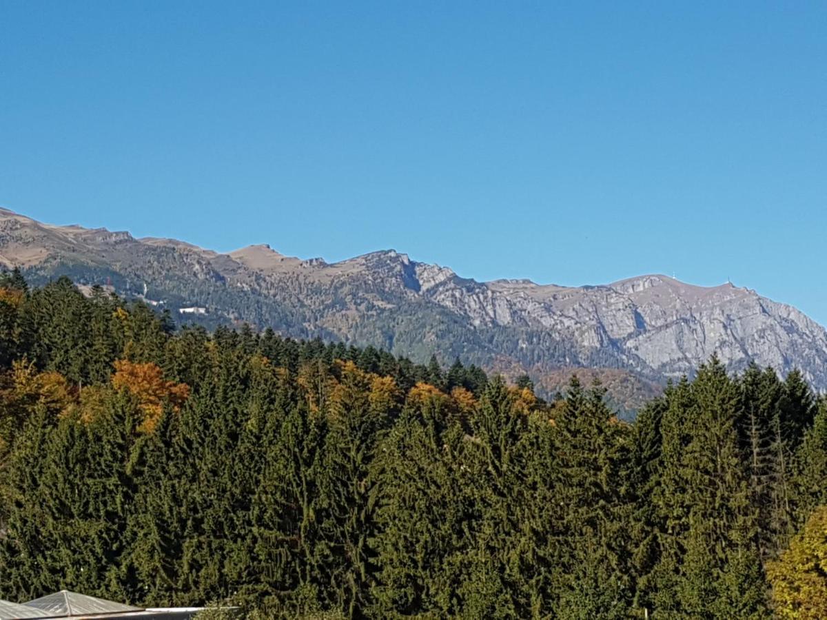 Mountain View Sinaia