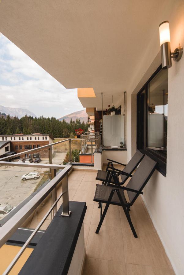 Mountain View * Sinaia