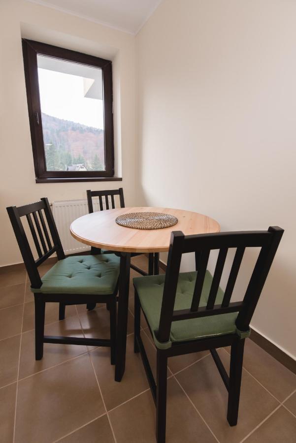 Apartment Mountain View Sinaia