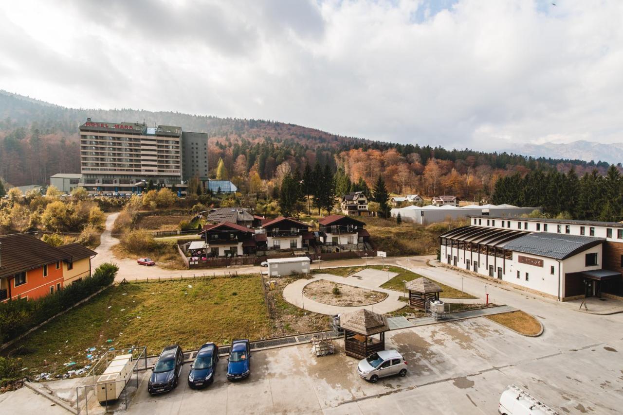 Apartament Mountain View