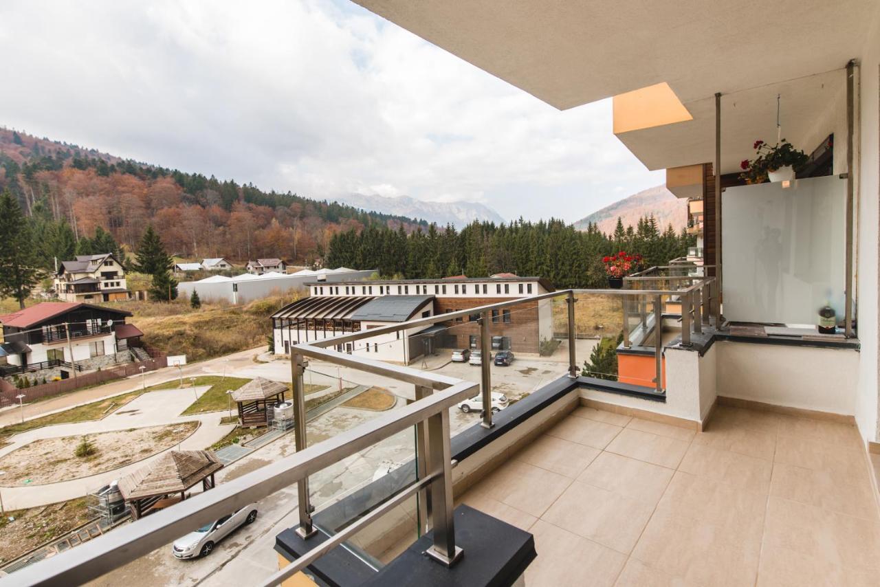 Apartament Mountain View Sinaia
