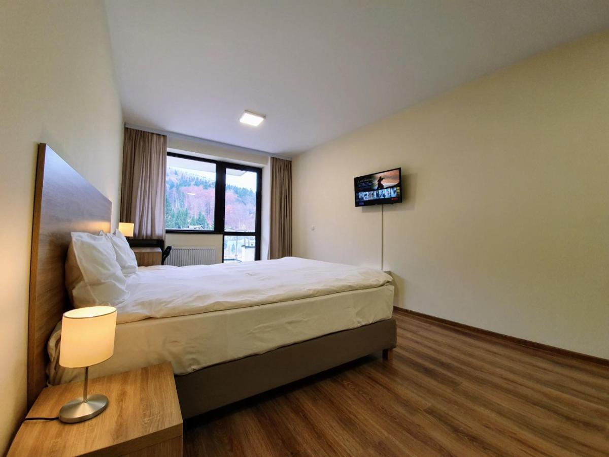 Apartment Mountain View Sinaia