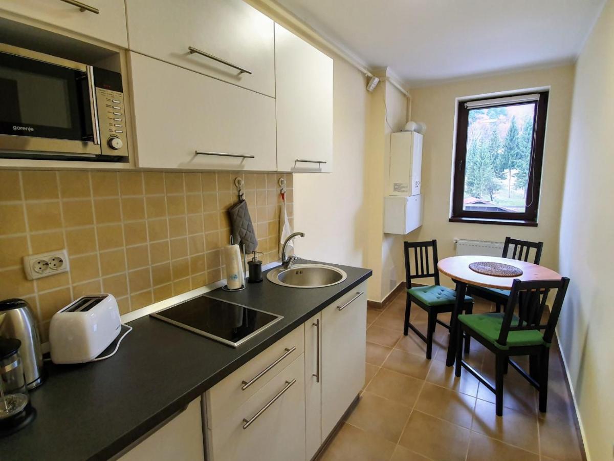 Apartament Mountain View